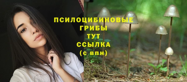 ешки Каменск-Шахтинский