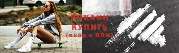соль ск Каменногорск
