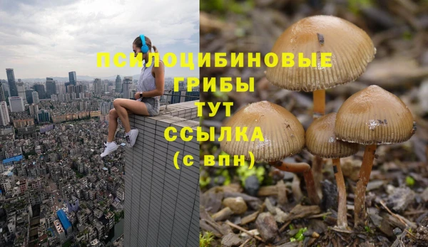 ешки Каменск-Шахтинский
