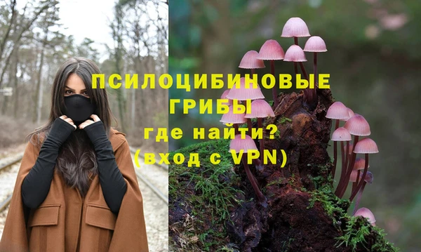 альфа пвп Каменка