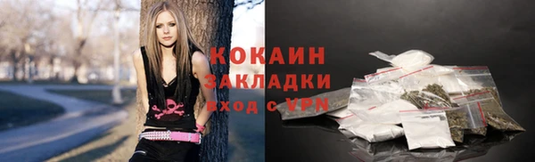 соль ск Каменногорск