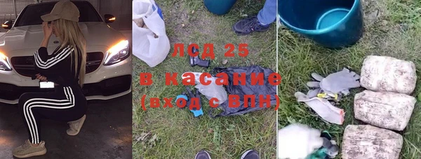 мескалин Касимов