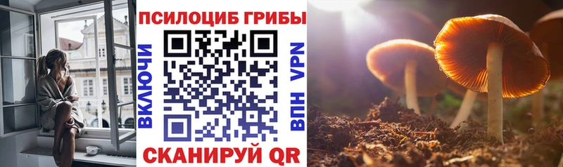 магазин продажи Брюховецкая ОМГ ОМГ как зайти Галлюциногенные грибы мицелий